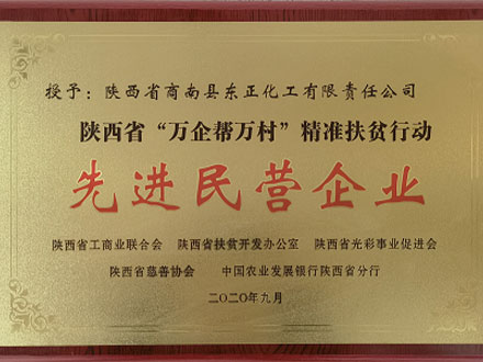 陕西先进民营企业